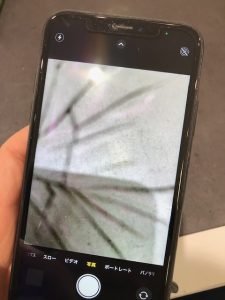 【カメラを起動すると…】東大阪市寺前町よりご来店♪